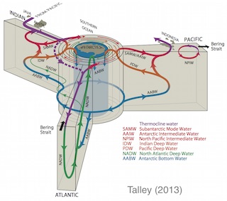 Ocean Circulation